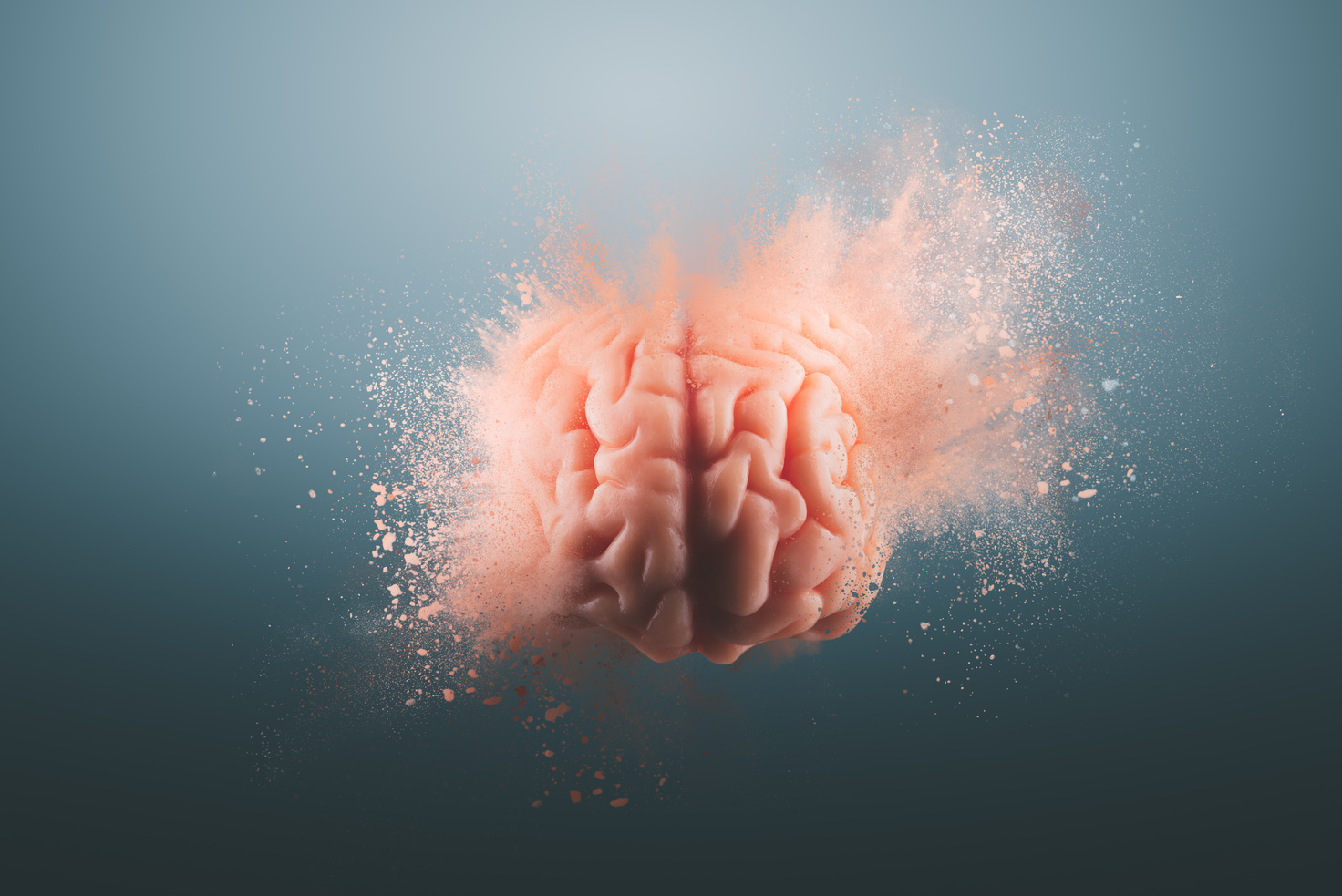 Human brain on grey background